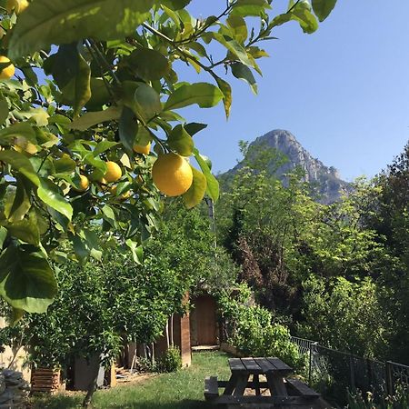 Au Pied Des Baous Bed & Breakfast Vence Dış mekan fotoğraf