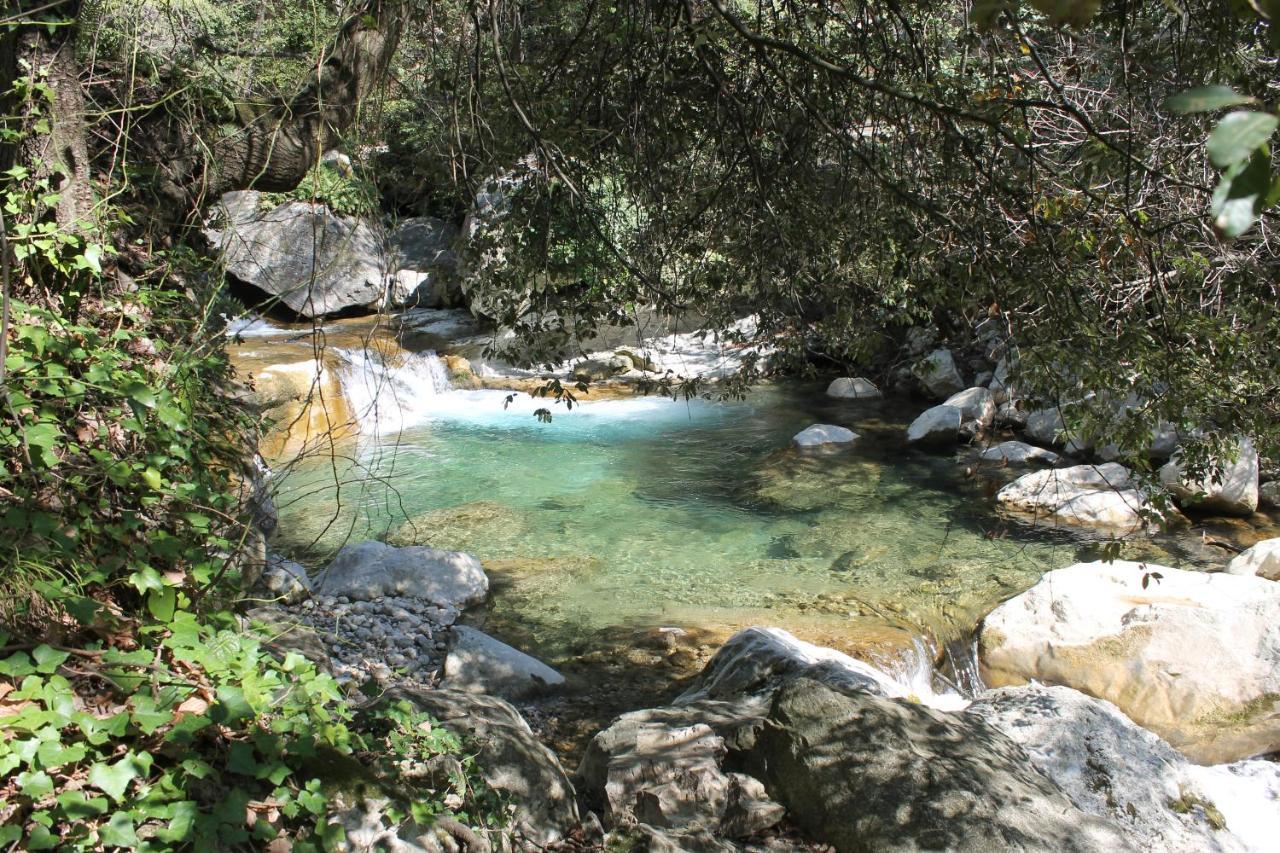 Au Pied Des Baous Bed & Breakfast Vence Dış mekan fotoğraf