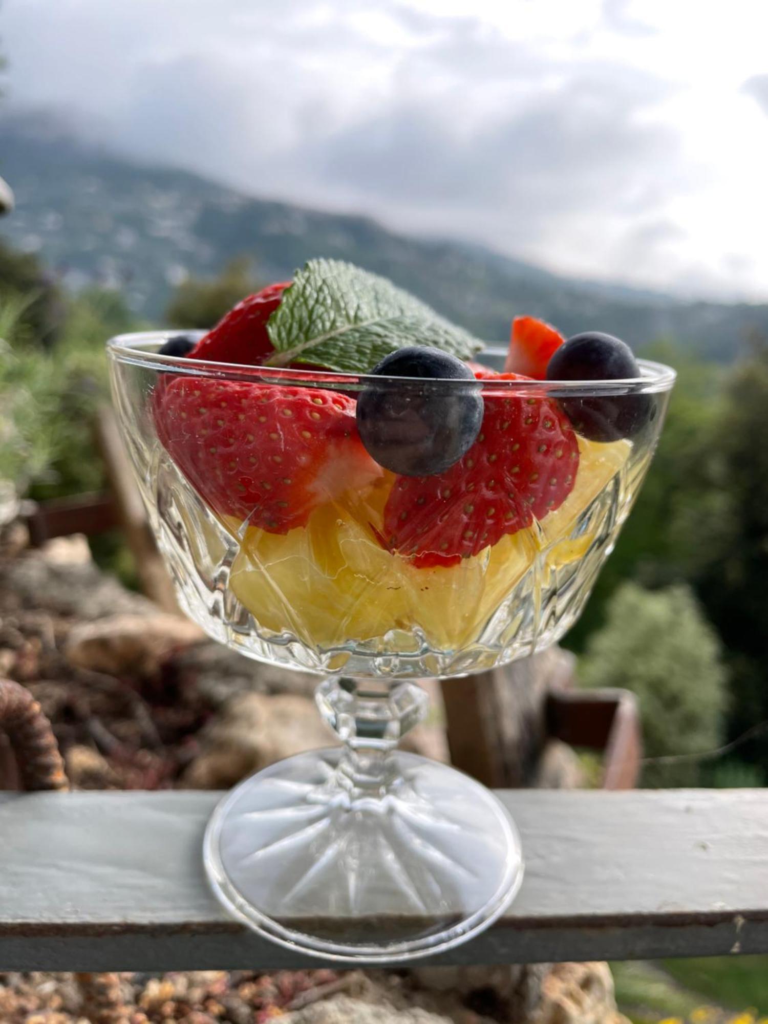 Au Pied Des Baous Bed & Breakfast Vence Dış mekan fotoğraf