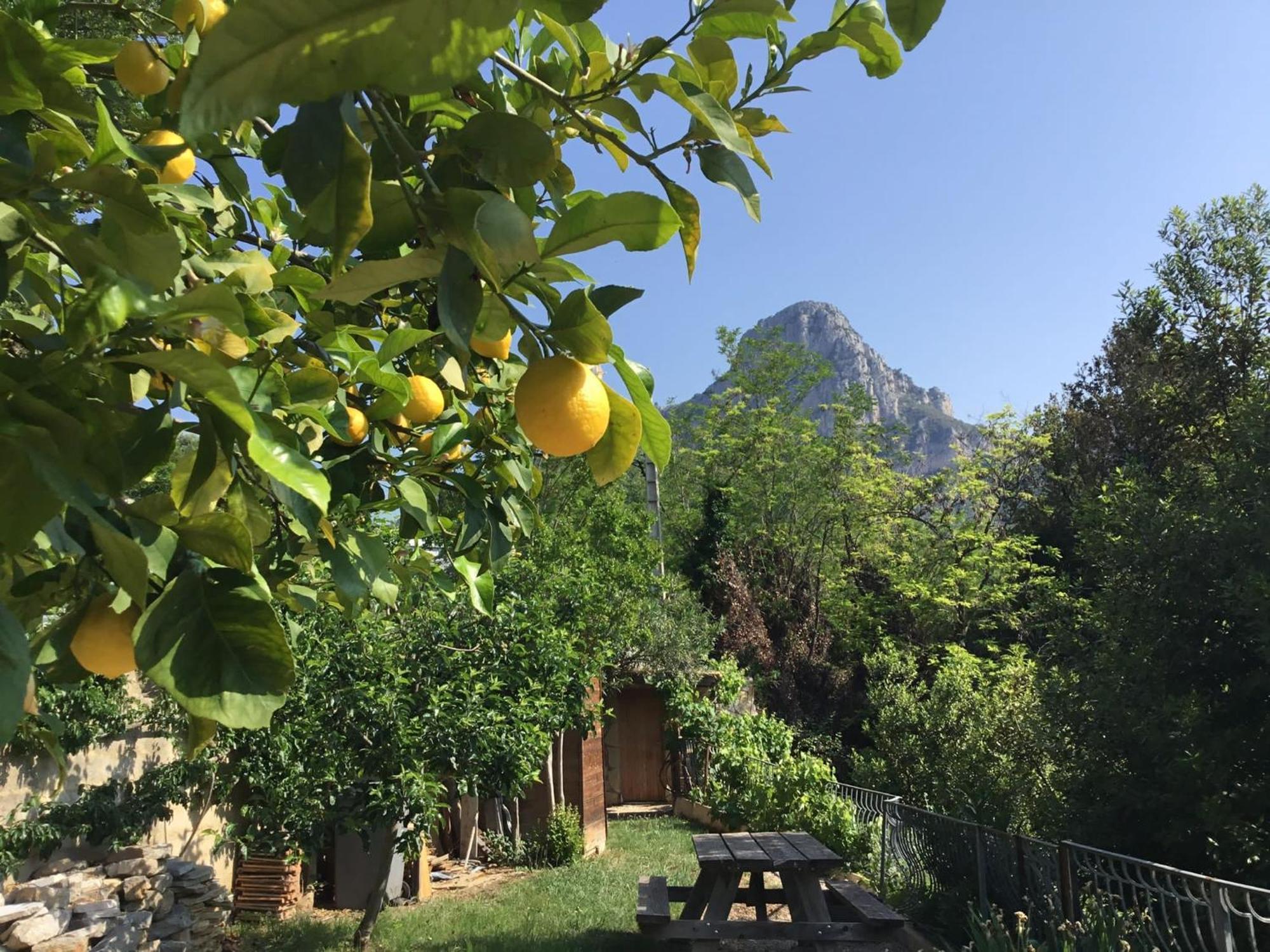Au Pied Des Baous Bed & Breakfast Vence Dış mekan fotoğraf