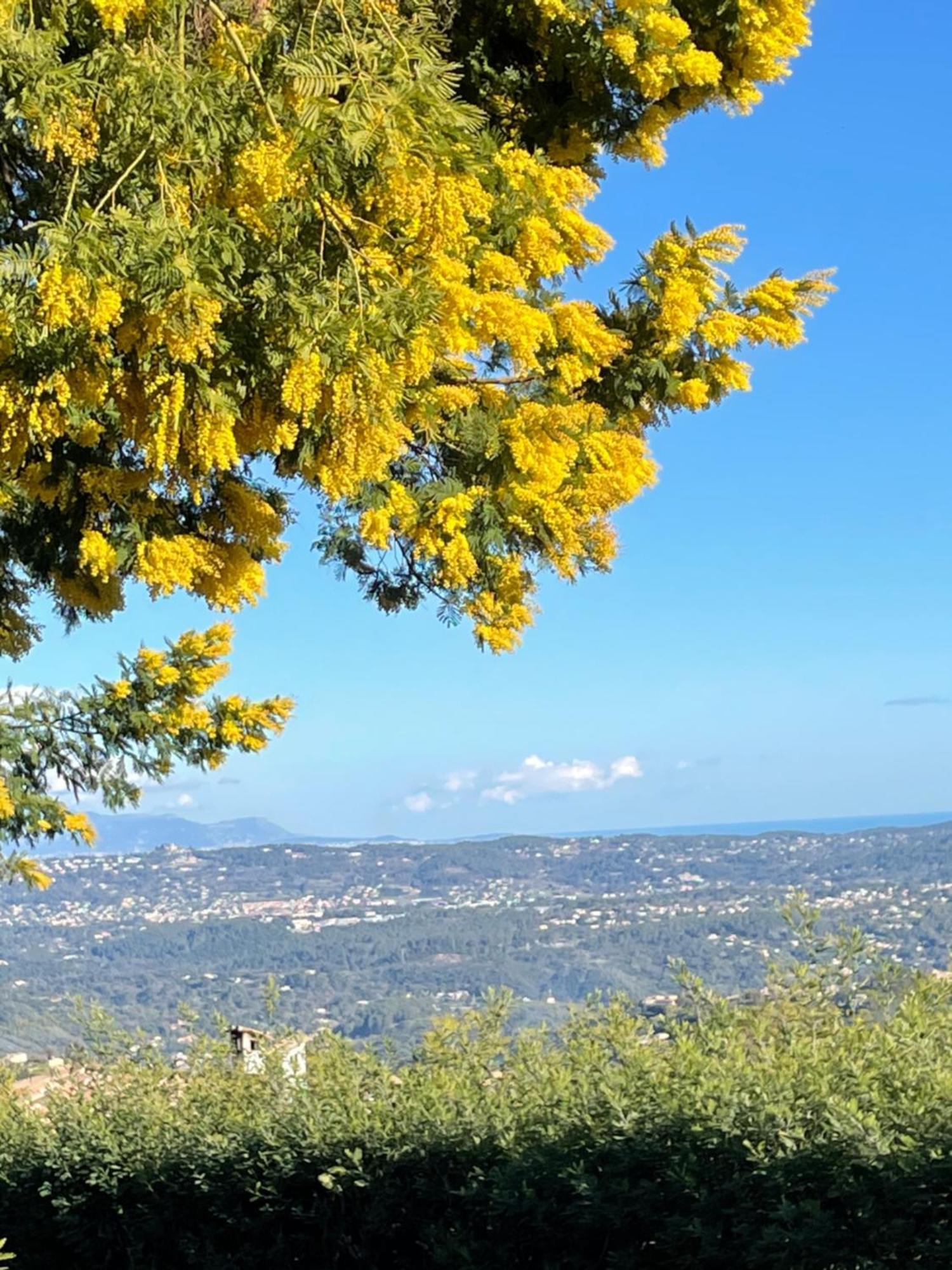Au Pied Des Baous Bed & Breakfast Vence Dış mekan fotoğraf