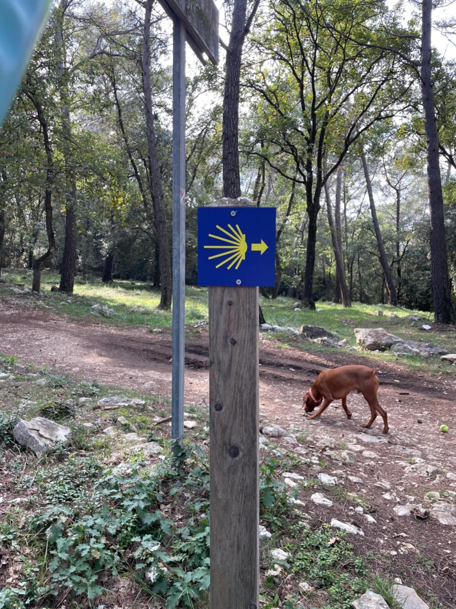 Au Pied Des Baous Bed & Breakfast Vence Dış mekan fotoğraf