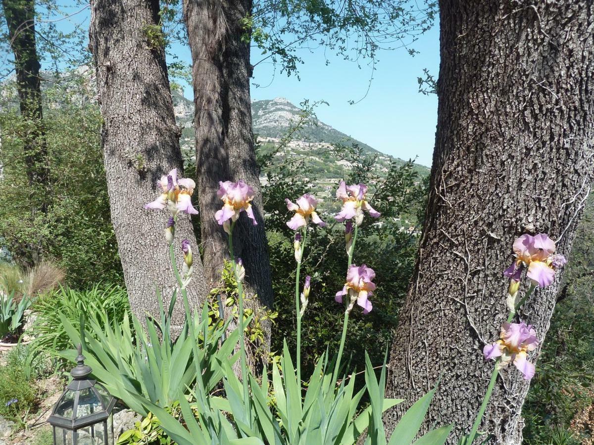 Au Pied Des Baous Bed & Breakfast Vence Dış mekan fotoğraf